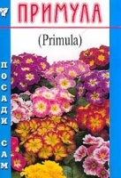 Примула артикул 6748a.